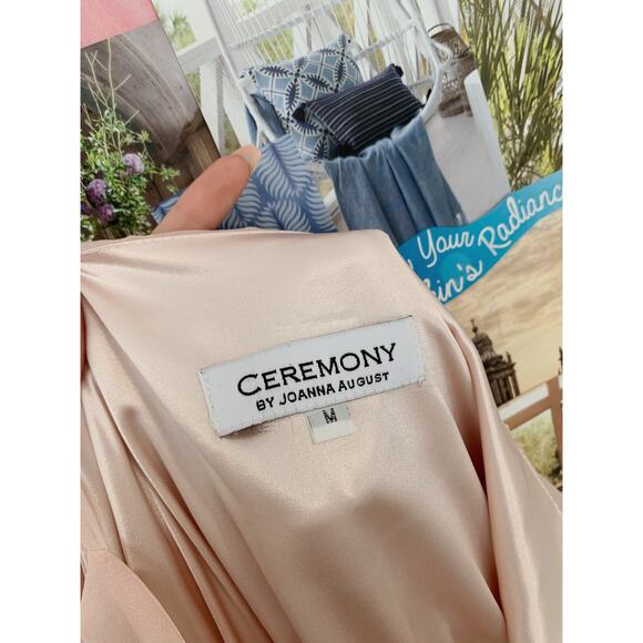 Light Pink Ceremony by Joanna August Dani Formal Evening Gown M - Picture 10 of 11